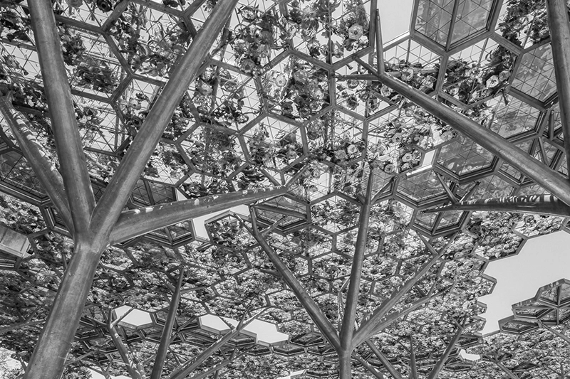 Close-up view of an intricate hexagonal glass canopy with floral designs supported by branching metal beams. Gewan Island, Doha, Qatar.